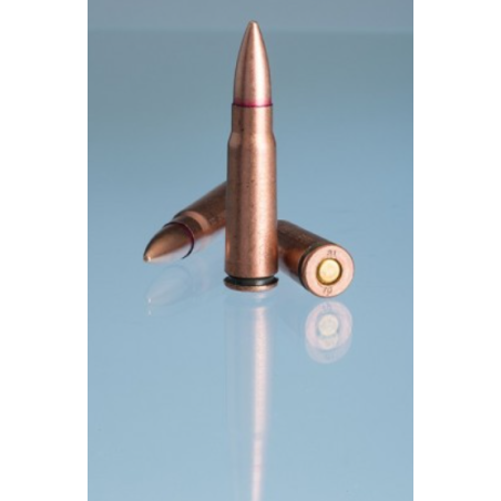 STV ARMS 7,69x39